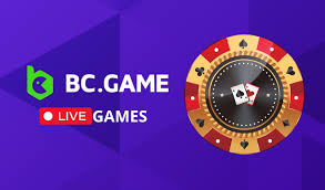 Explore the Excitement of Dice BC Hash Game